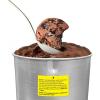 imageAmericana Collection Elite EIM1432M 15 Quart Automatic Easy Homemade Electric Ice Cream Maker Frozen Yogurt Sorbet Gelato Treat with Recipes Mint4 Quart